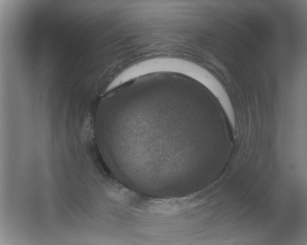 X0000063460029200602031845