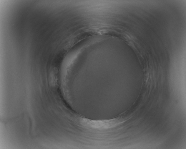 X0000063460030200602031845