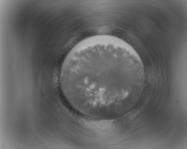 X0000063460032200602031845