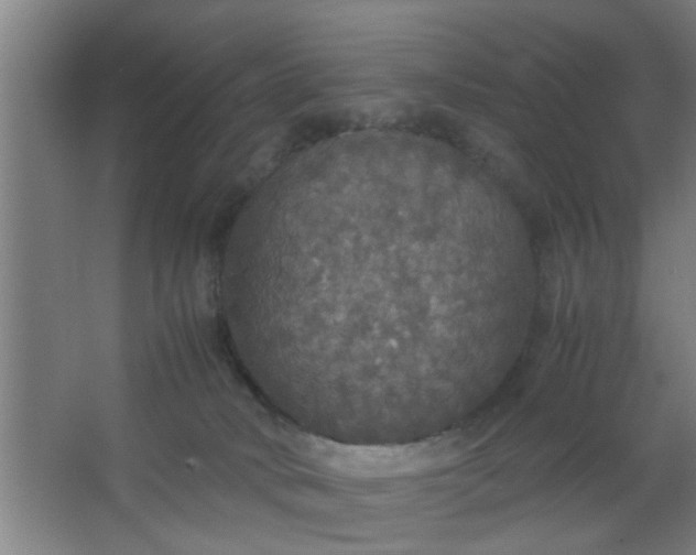 X0000063460034200602031845