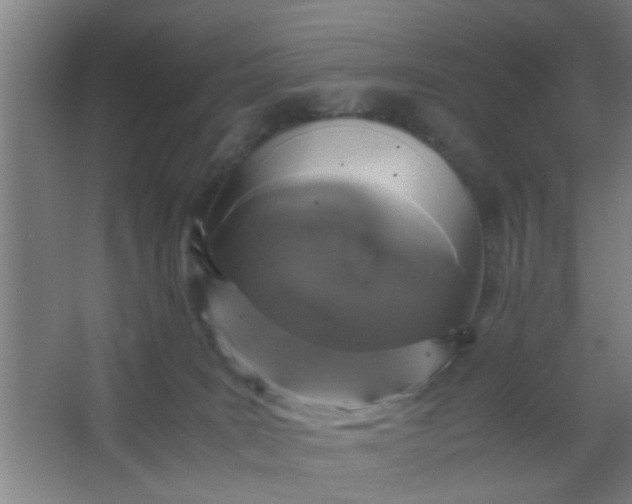 X0000063460035200602031845