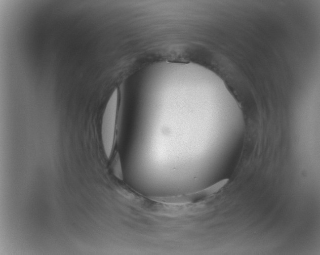 X0000063460037200602031845