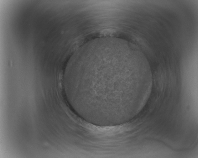 X0000063460038200602031845