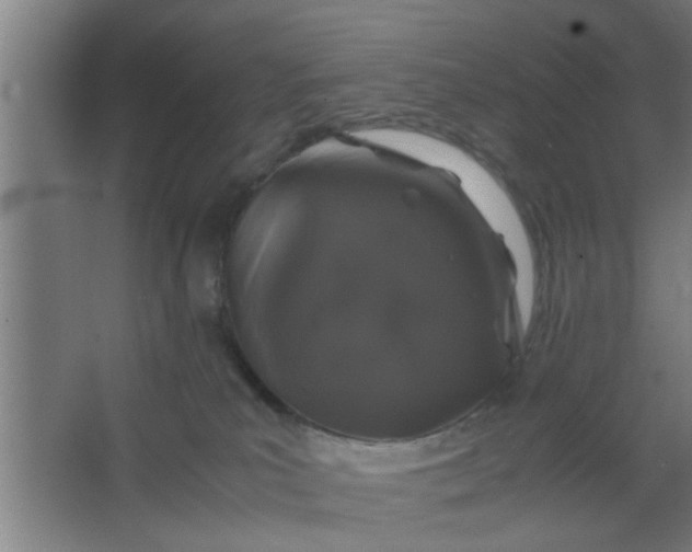 X0000063460039200602031845