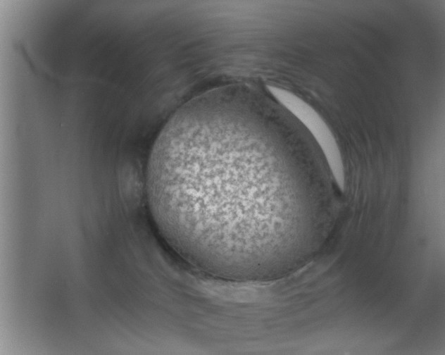 X0000063460040200602031845