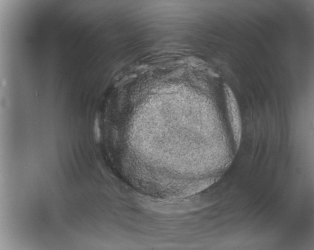 X0000063460042200602031845