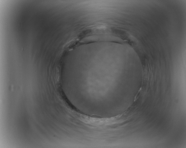 X0000063460043200602031845