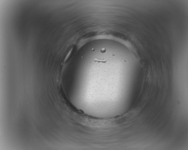 X0000063460044200602031845