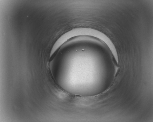 X0000063460045200602031845