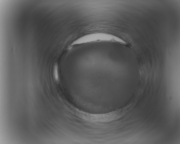 X0000063460046200602031845