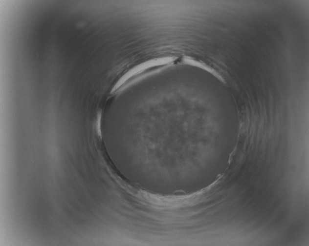 X0000063460047200602031845