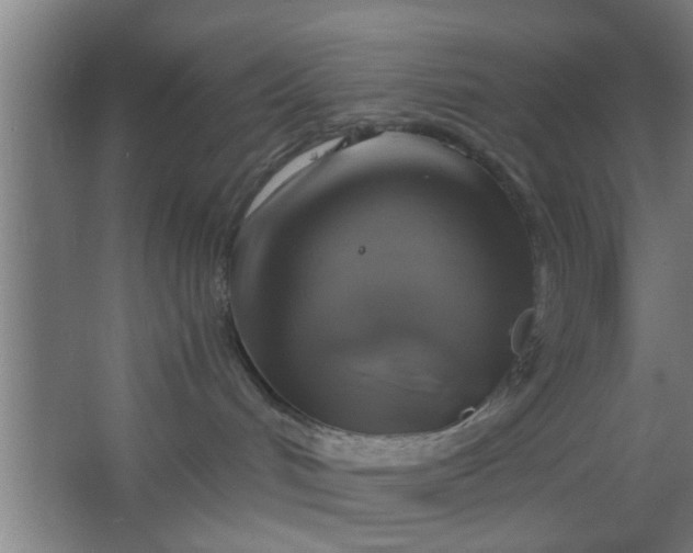 X0000063460048200602031845