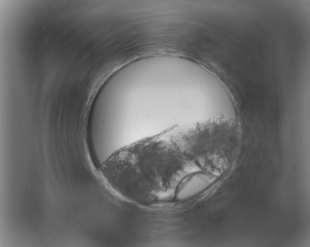 X0000063460049200602031844