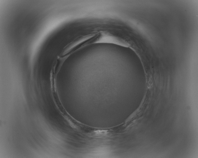 X0000063460052200602031844