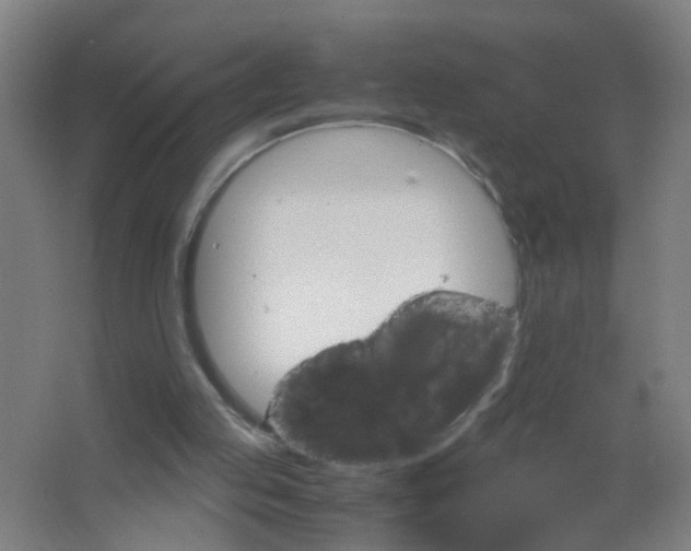 X0000063460053200602031844