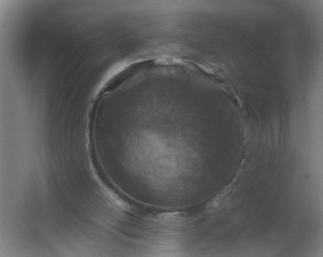 X0000063460054200602031844