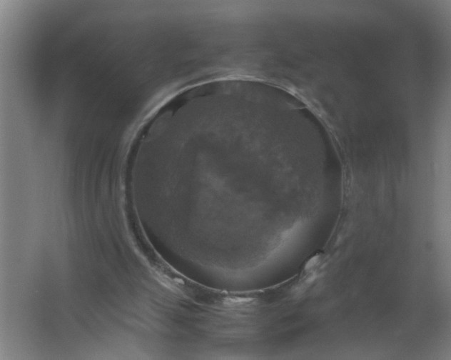 X0000063460055200602031844