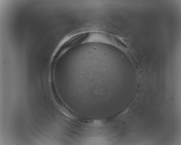 X0000063460056200602031844