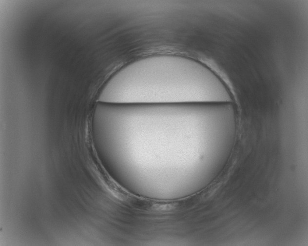 X0000063460057200602031844