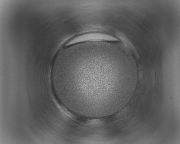 X0000063460058200602031844