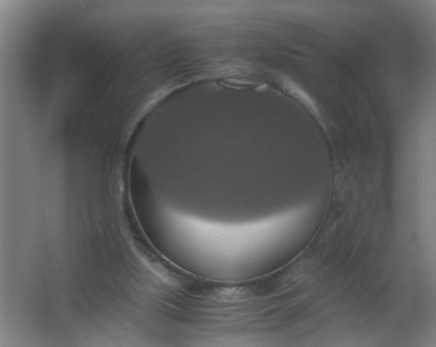 X0000063460059200602031844