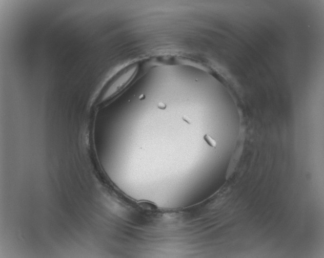 X0000063460060200602031844