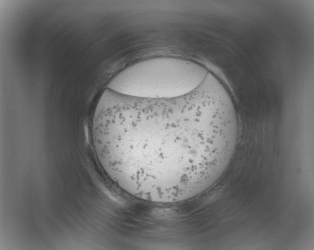 X0000063460061200602031844