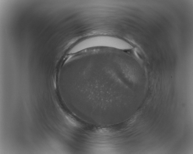 X0000063460062200602031844