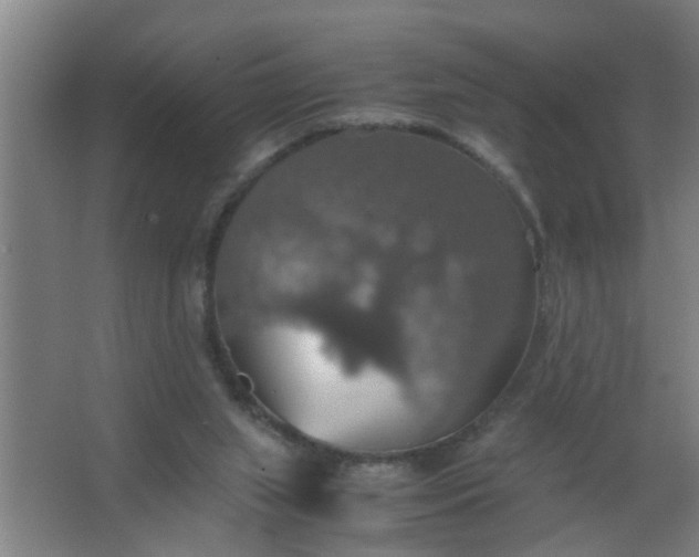 X0000063460063200602031844