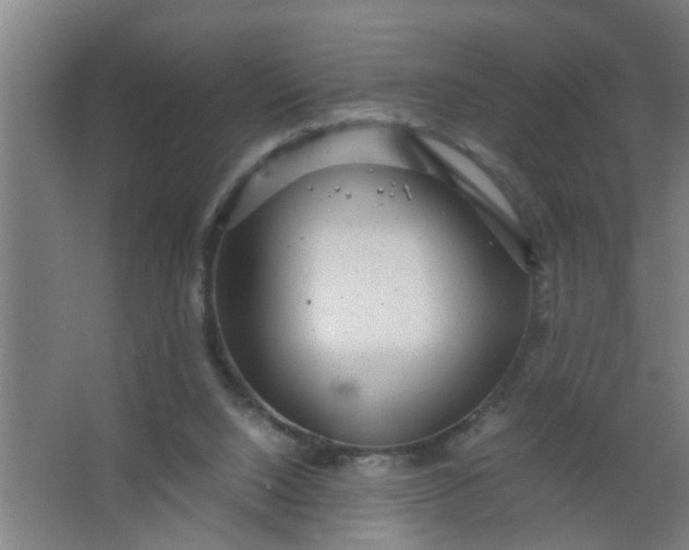 X0000063460064200602031844