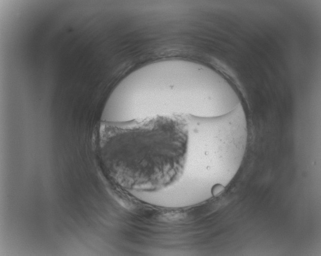 X0000063460065200602031844