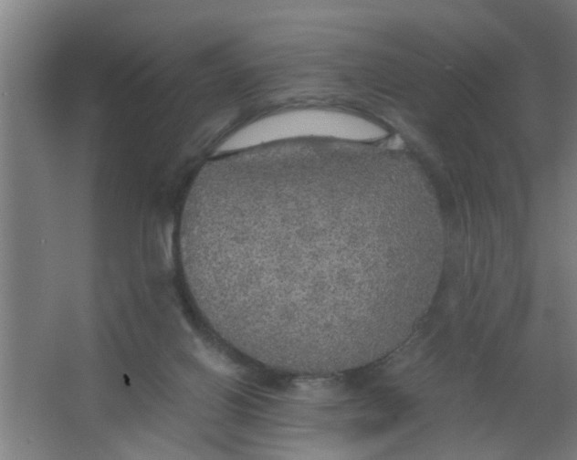 X0000063460070200602031845