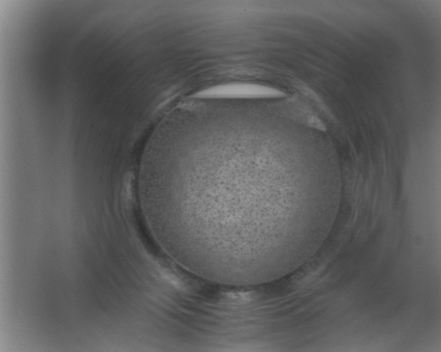 X0000063460071200602031845