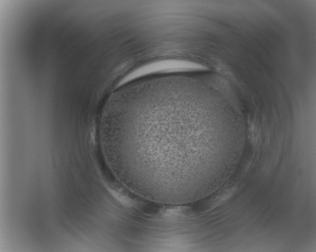 X0000063460072200602031845