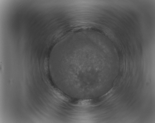 X0000063460078200602031845