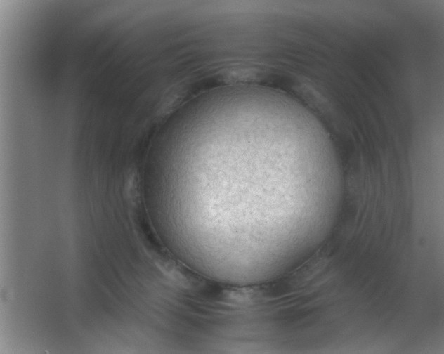 X0000063460079200602031845