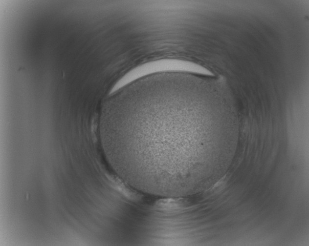 X0000063460082200602031845