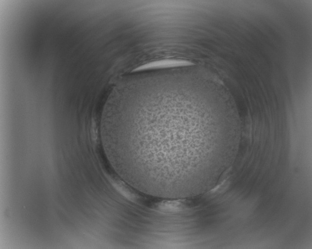 X0000063460086200602031845