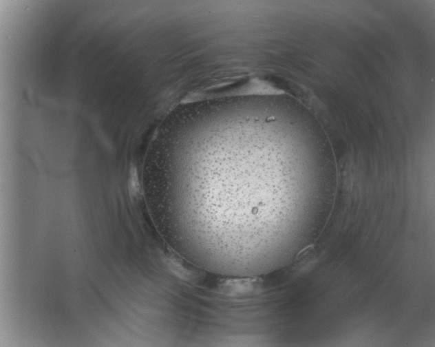 X0000063460089200602031845