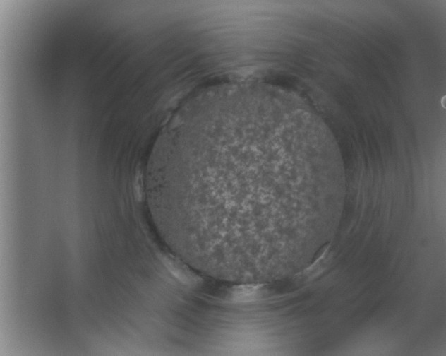 X0000063460090200602031845