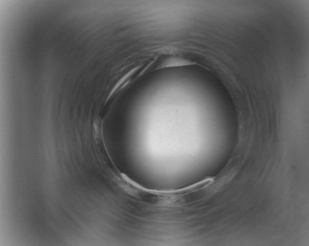 X0000063460096200602031845