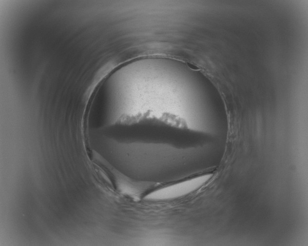 X0000063460099200602031844