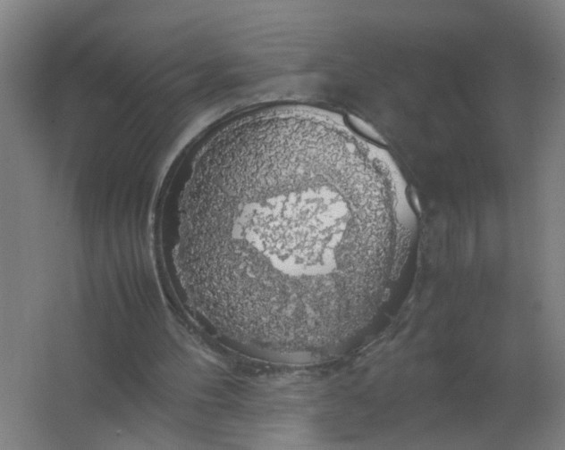 X0000063460100200602031844