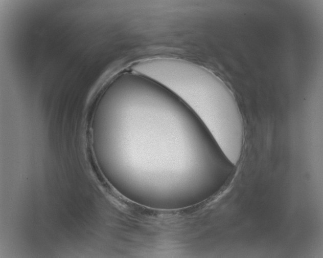 X0000063460101200602031844