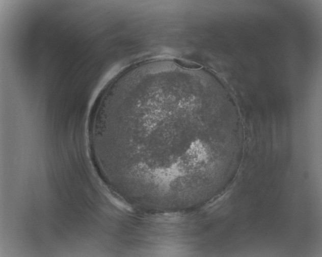 X0000063460102200602031844