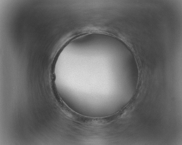 X0000063460103200602031844