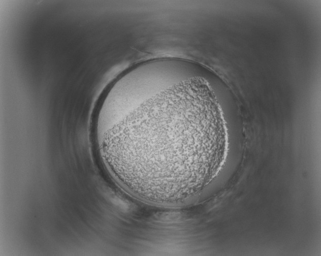 X0000063460104200602031844