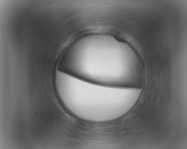 X0000063460105200602031844