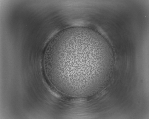 X0000063460106200602031844