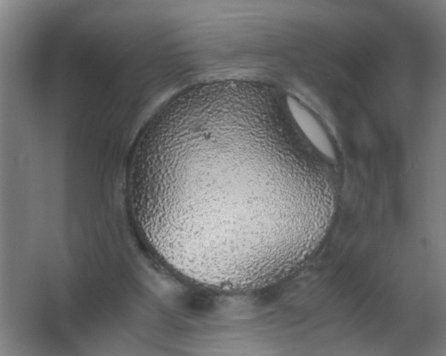 X0000063460107200602031844